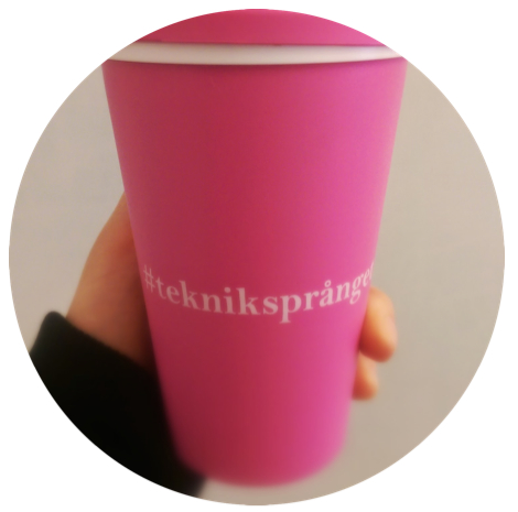 Tekniksprånget IVA