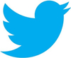 twitter logotyp e